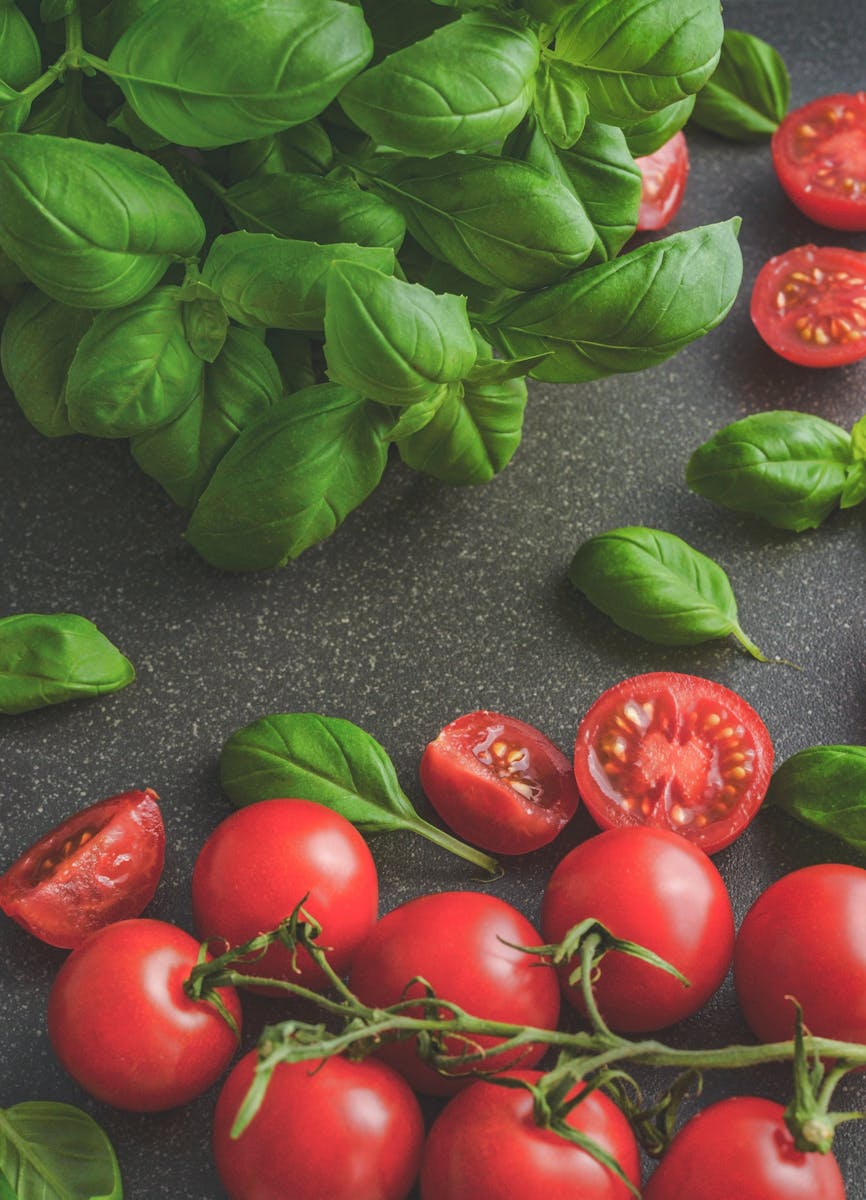 Contacto - Productos Alimenticios en Burgos